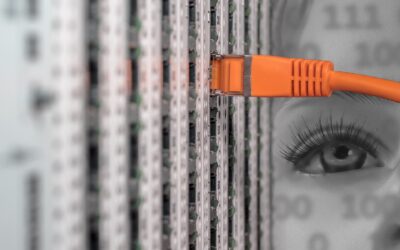 Datasäkerhet för Mindre Företag: Varför det är viktigt och vad man bör tänka på